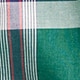 Secret Wash cotton poplin shirt DANIEL PLAID DK GREEN W