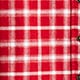 Embellished shrunken button-up shirt in tartan brushed cotton oxford RED